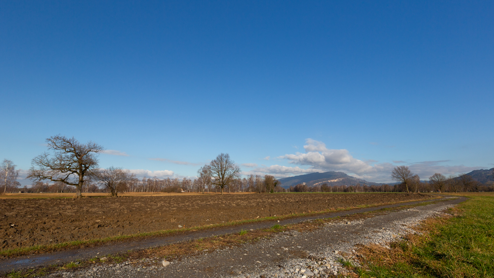 Lauteracherried im Jänner 37